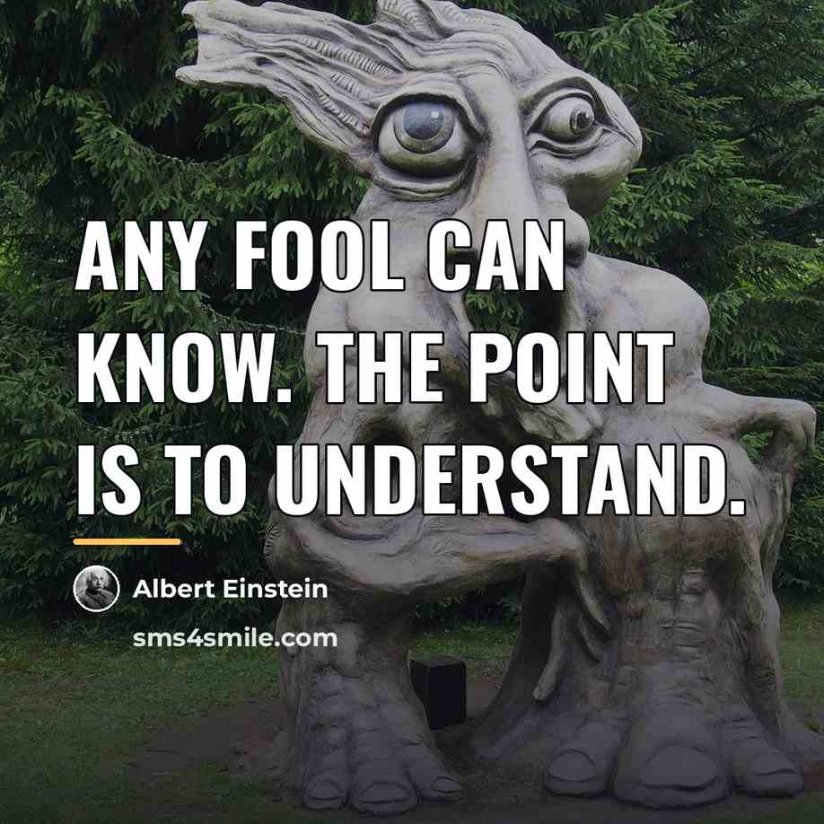 “Any fool can know. The point is to understand.…” quote by Albert Einstein