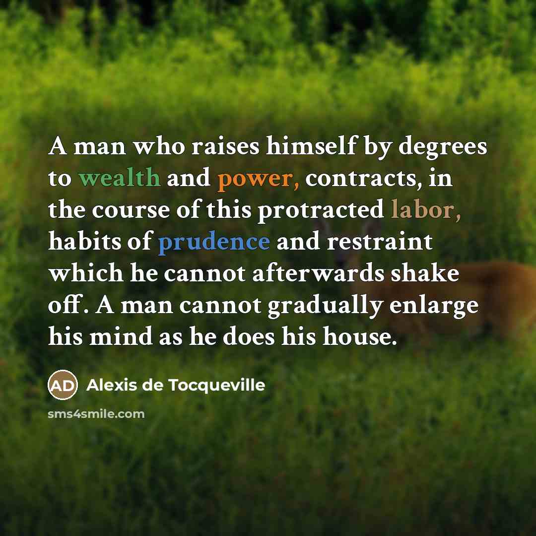 “A man who raises himself by degrees to wealth and…” quote by Alexis de Tocqueville