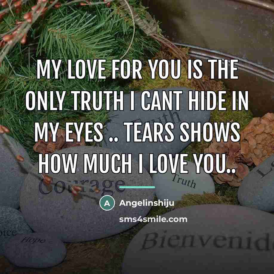 “My Love for you is the only Truth I cant…” quote by Angelinshiju