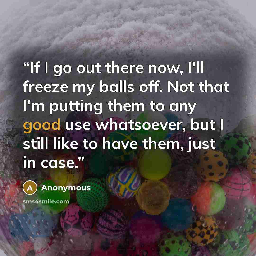 “If I go out there now, I'll freeze my balls off. Not that I'm putting them to any good use whatsoever, but I still like to have them, just in case.” quote by Anonymous