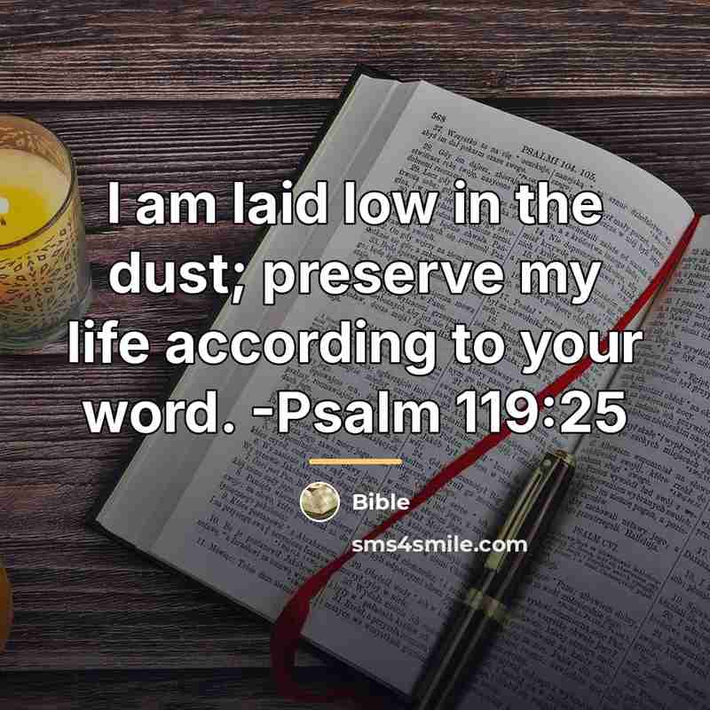 “I am laid low in the dust; preserve my life…” quote by Bible
