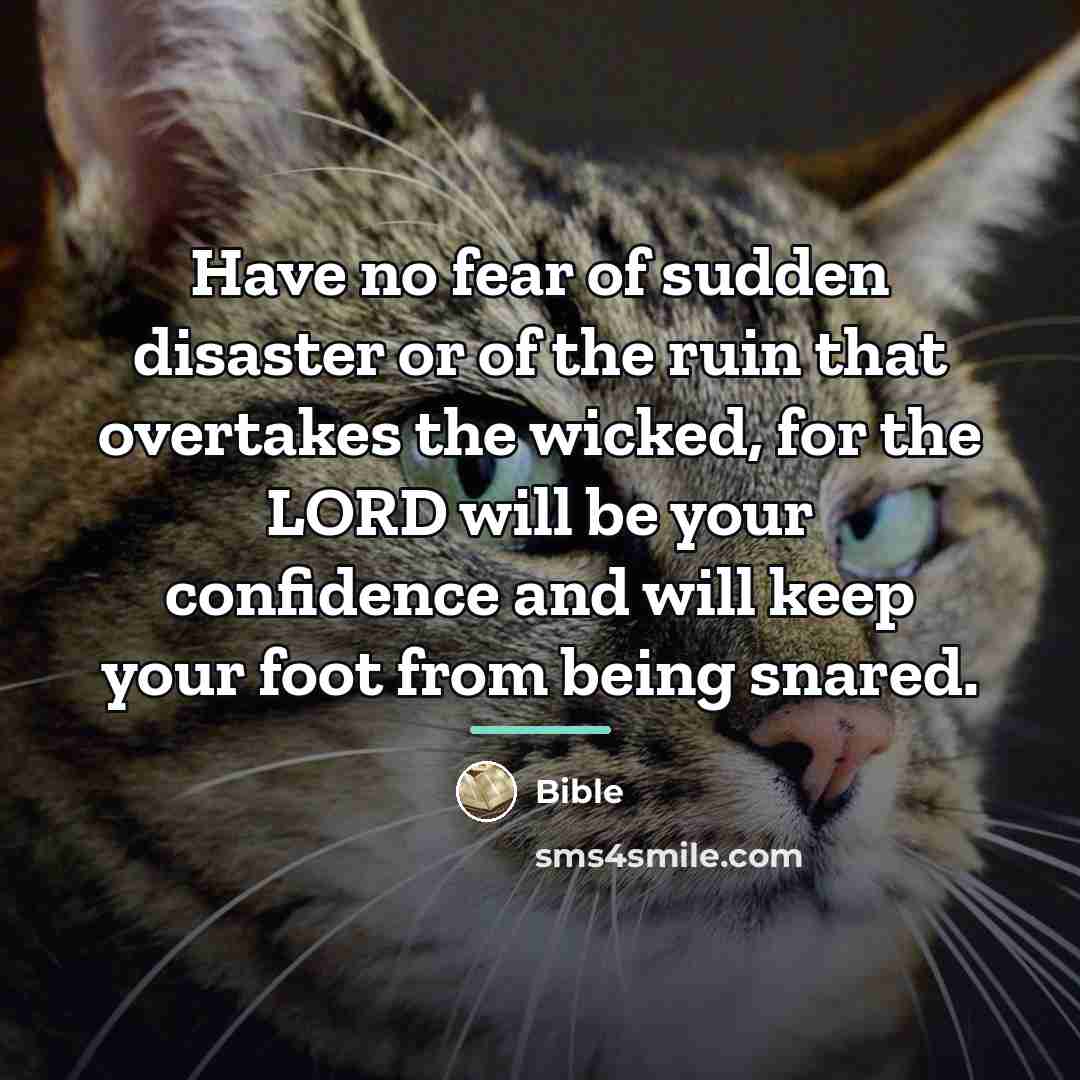 “Have no fear of sudden disaster or of the ruin…” quote by Bible