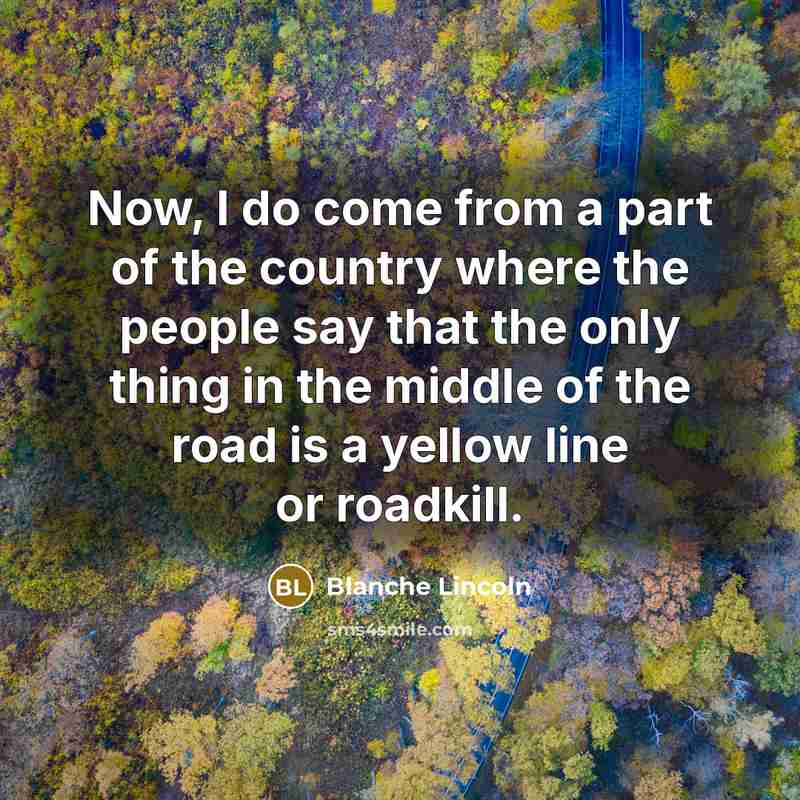 “Now, I do come from a part of the country…” quote by Blanche Lincoln