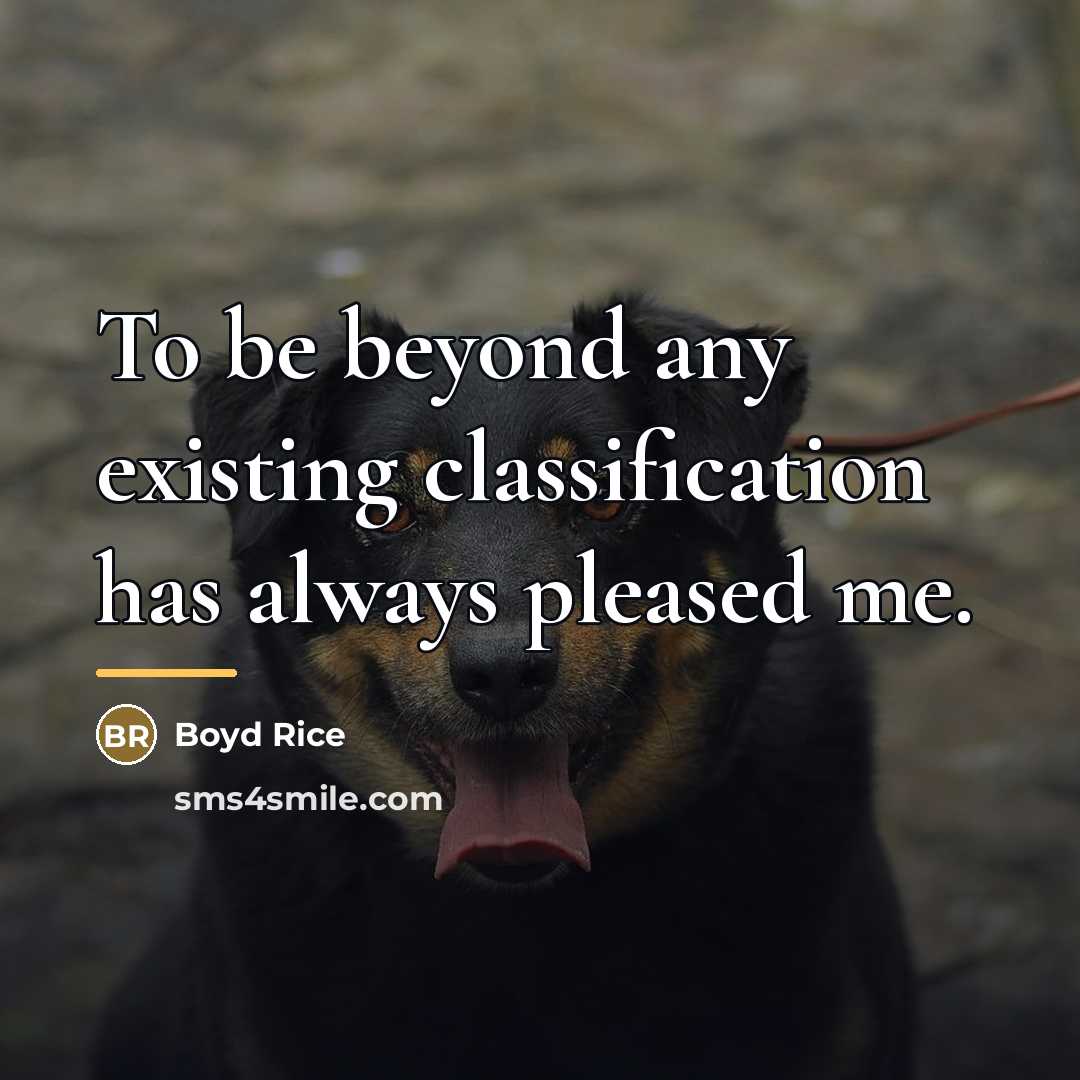 “To be beyond any existing classification has always pleased me.…” quote by Boyd Rice