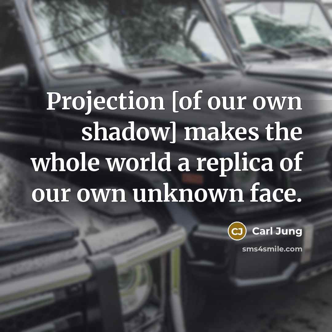 “Projection [of our own shadow] makes the whole world a…” quote by Carl Jung