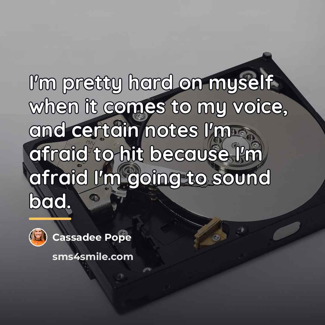 “I'm pretty hard on myself when it comes to my…” quote by Cassadee Pope