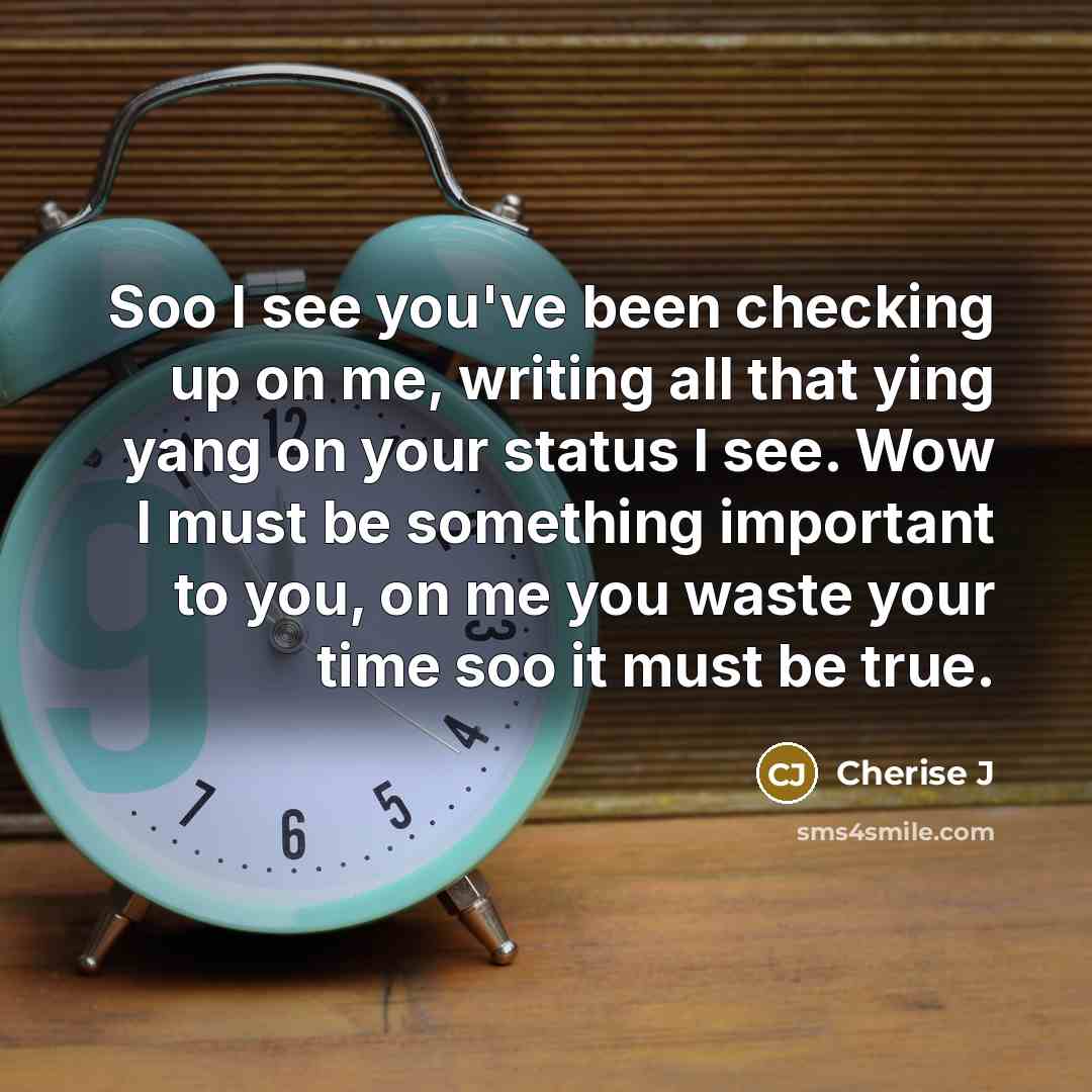 “Soo I see you've been checking up on me, writing all that ying yang on your status I see. Wow I must be something important to you, on me you waste your time soo it must be true.” quote by Cherise J