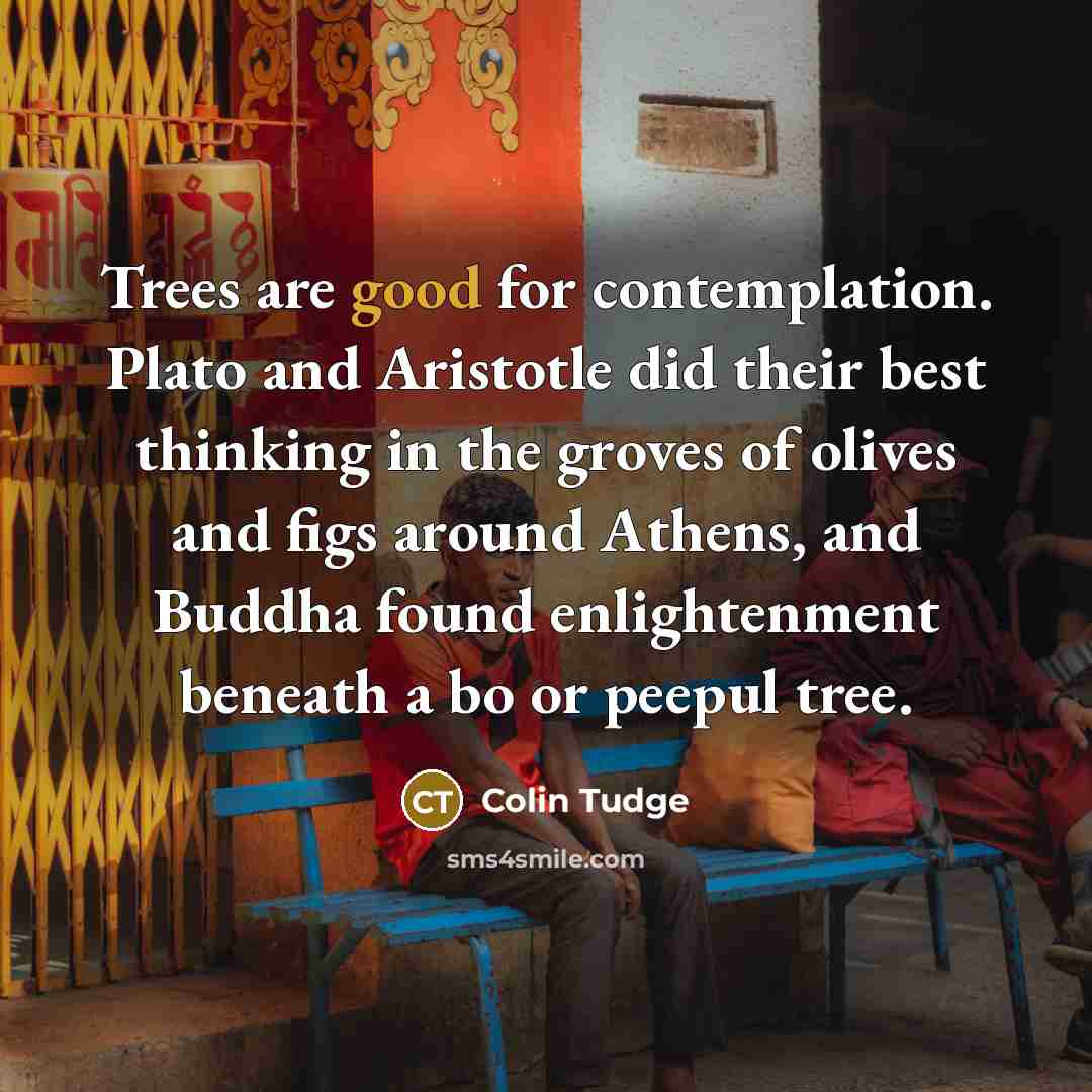 “Trees are good for contemplation. Plato and Aristotle did their…” quote by Colin Tudge