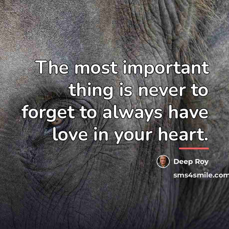 “The most important thing is never to forget to always…” quote by Deep Roy