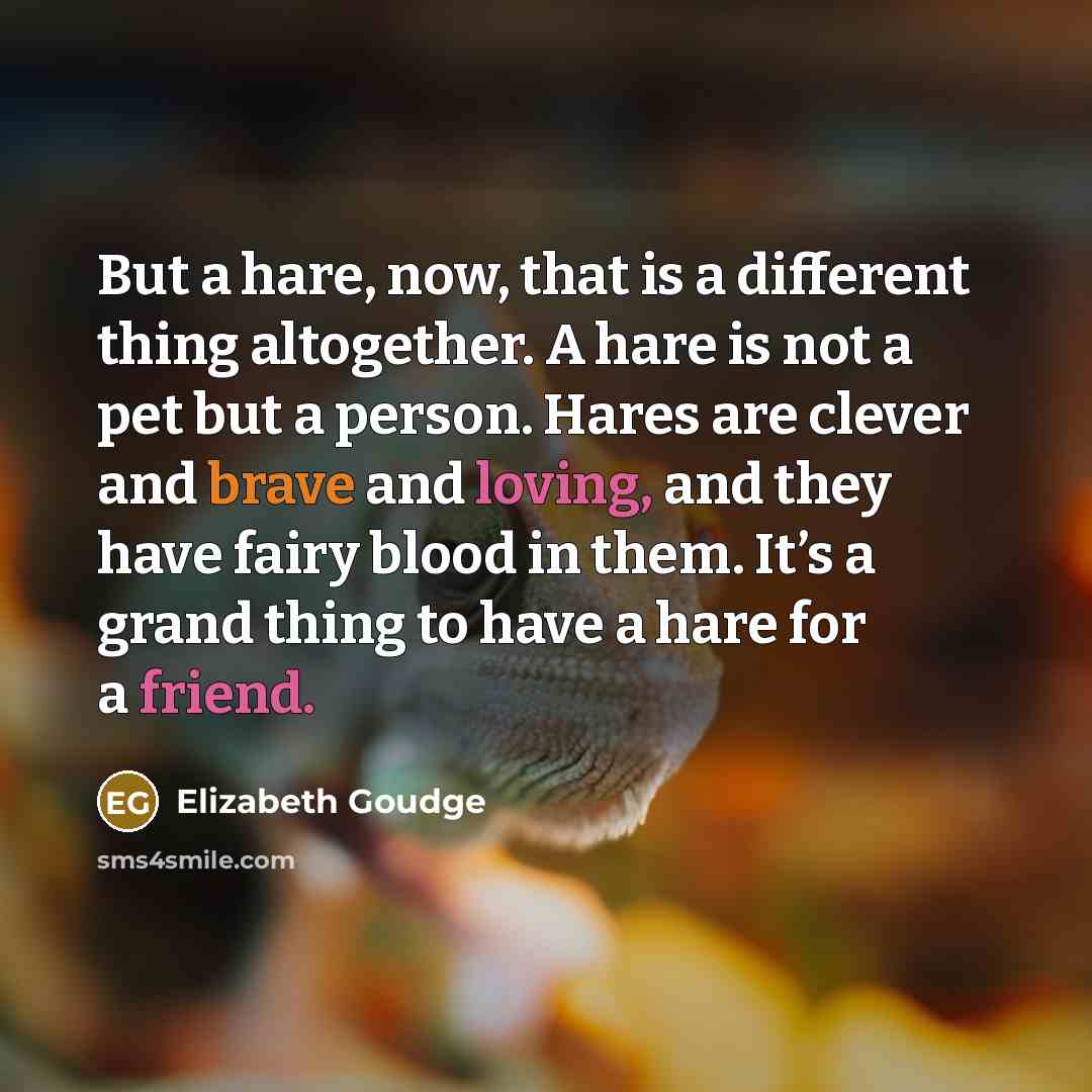 “But a hare, now, that is a different thing altogether. A hare is not a pet but a person. Hares are clever and brave and loving, and they have fairy blood in them. It’s a grand thing to have a hare for a friend.” quote by Elizabeth Goudge