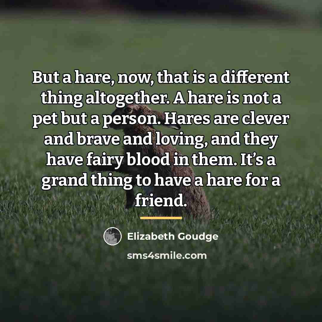 “But a hare, now, that is a different thing altogether.…” quote by Elizabeth Goudge