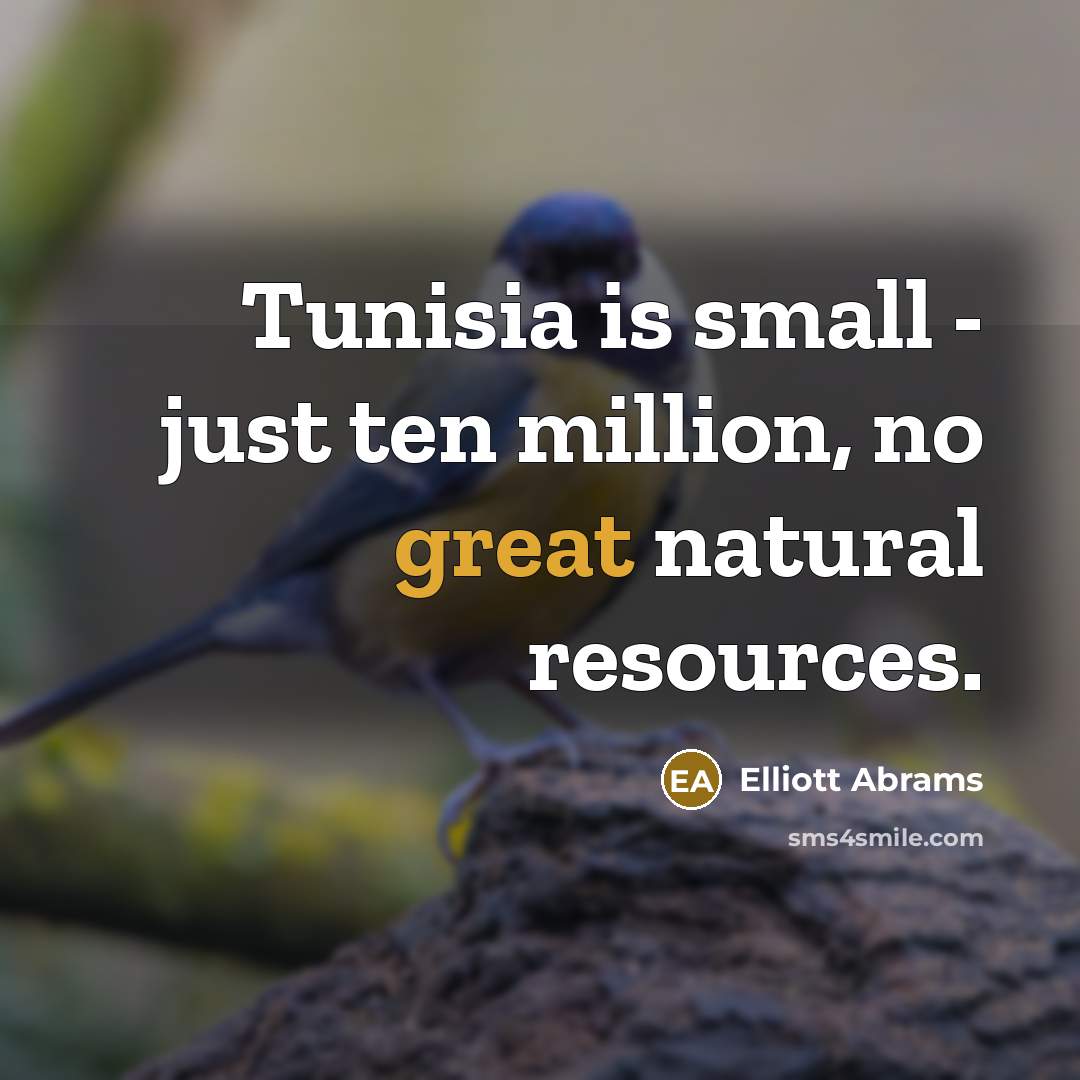 “Tunisia is small - just ten million, no great natural…” quote by Elliott Abrams
