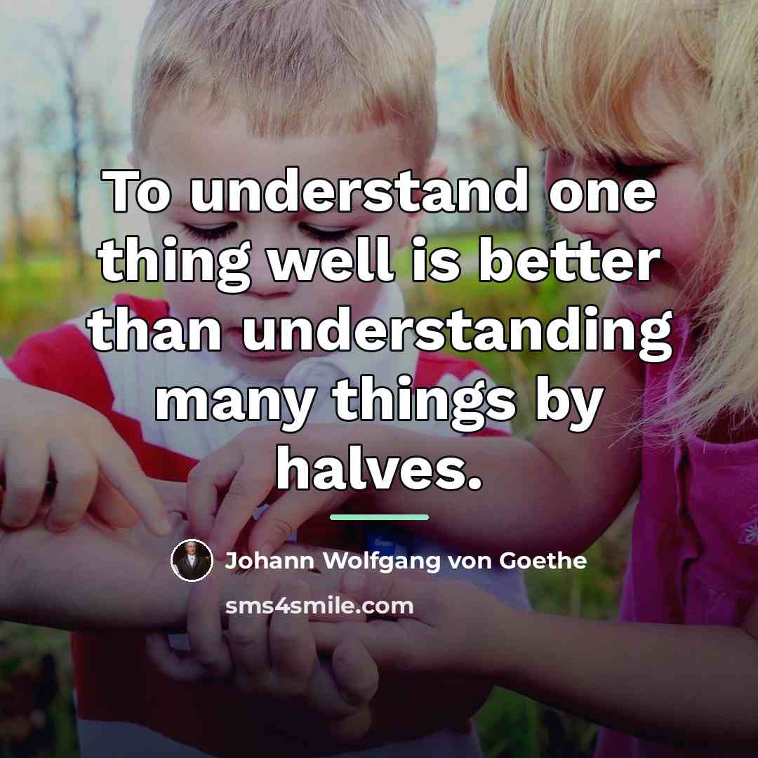“To understand one thing well is better than understanding many…” quote by Johann Wolfgang von Goethe