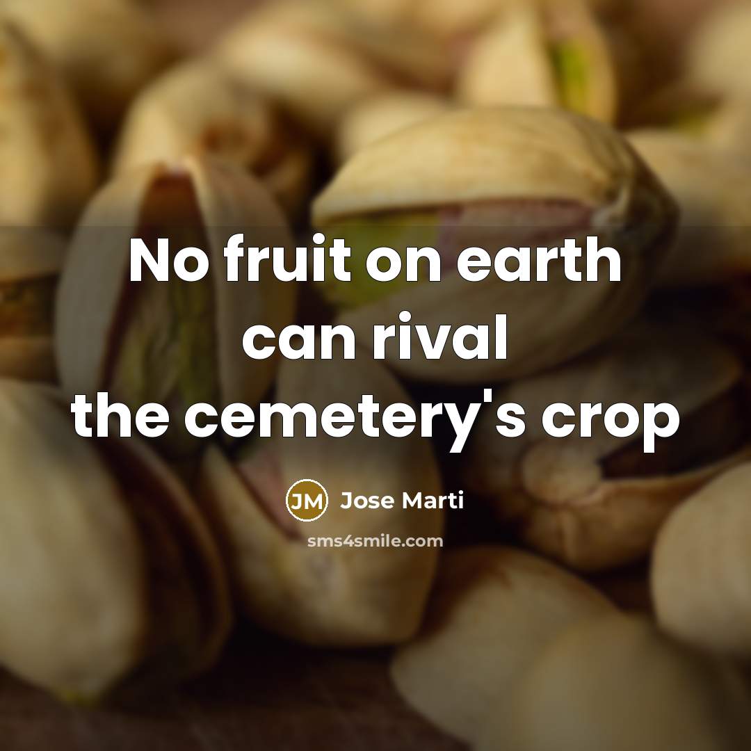 “No fruit on earth can rival the cemetery's crop…” quote by Jose Marti