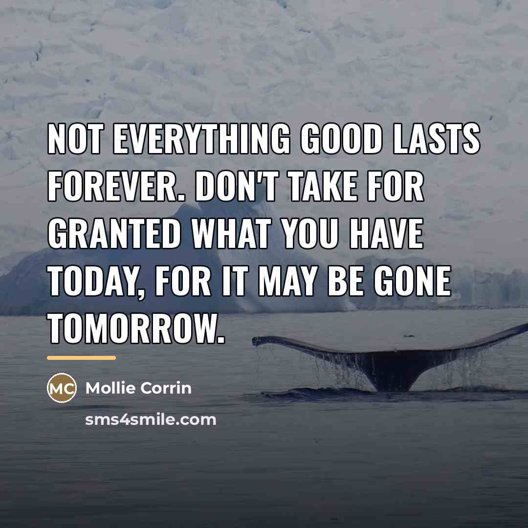 “Not everything good lasts forever. Don't take for granted what…” quote by Mollie Corrin