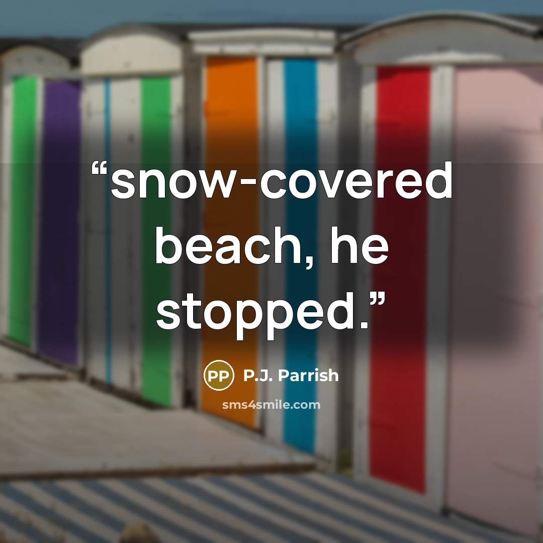 “snow-covered beach, he stopped.” quote by P.J. Parrish