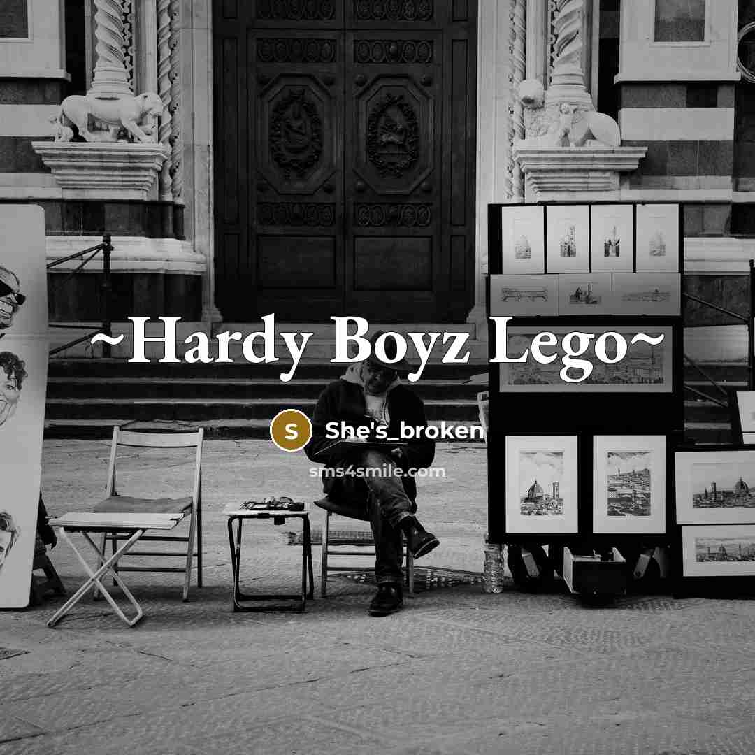 “~Hardy Boyz Lego~…” quote by She's_broken