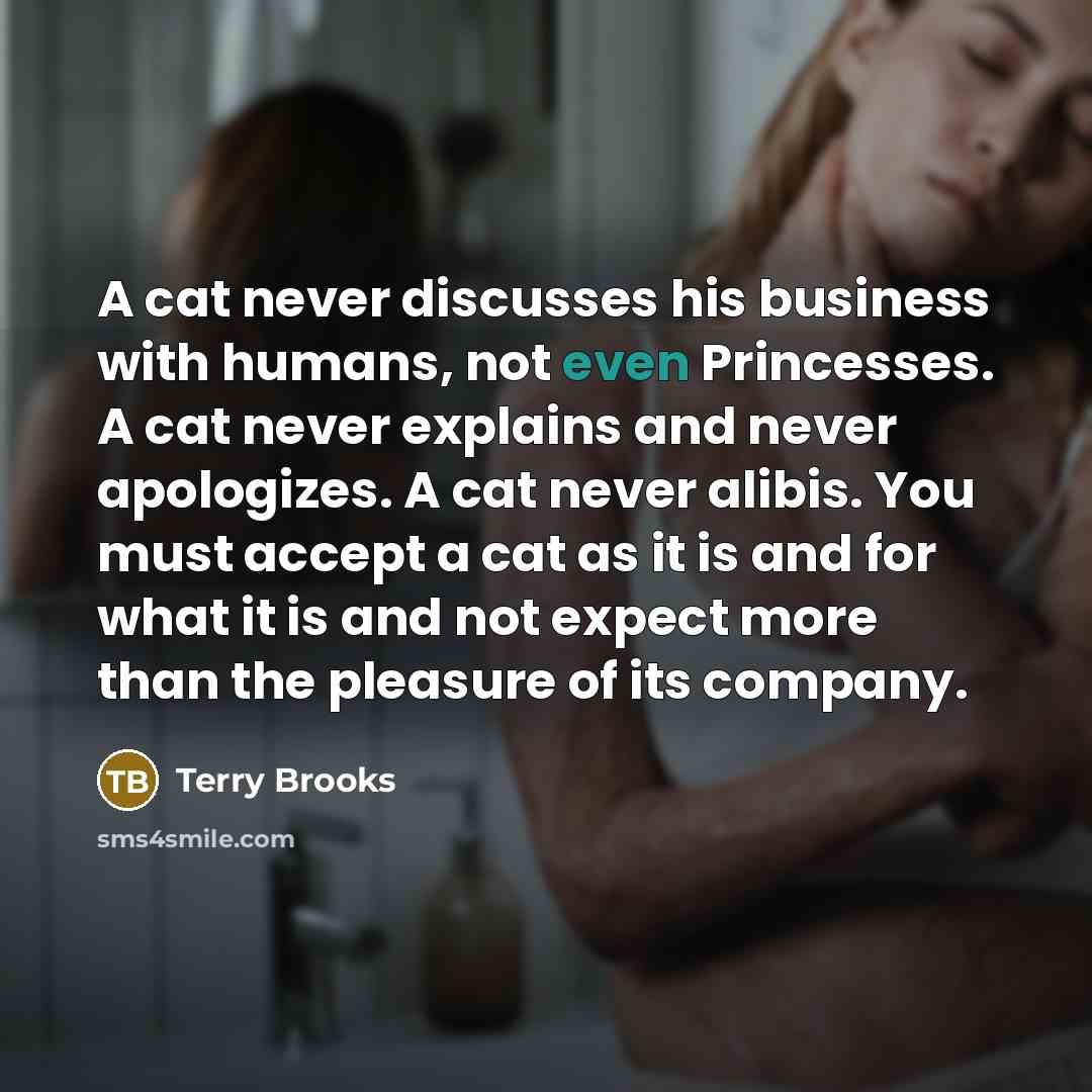 “A cat never discusses his business with humans, not even…” quote by Terry Brooks