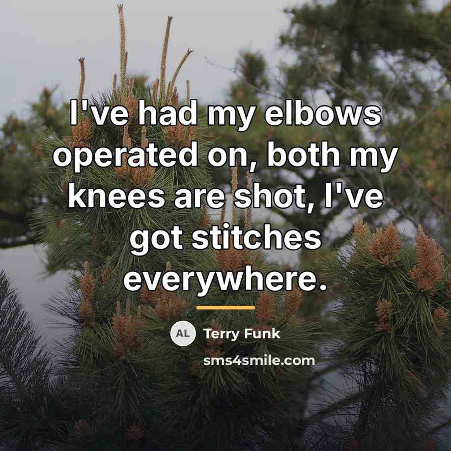 “I've had my elbows operated on, both my knees are…” quote by Terry Funk
