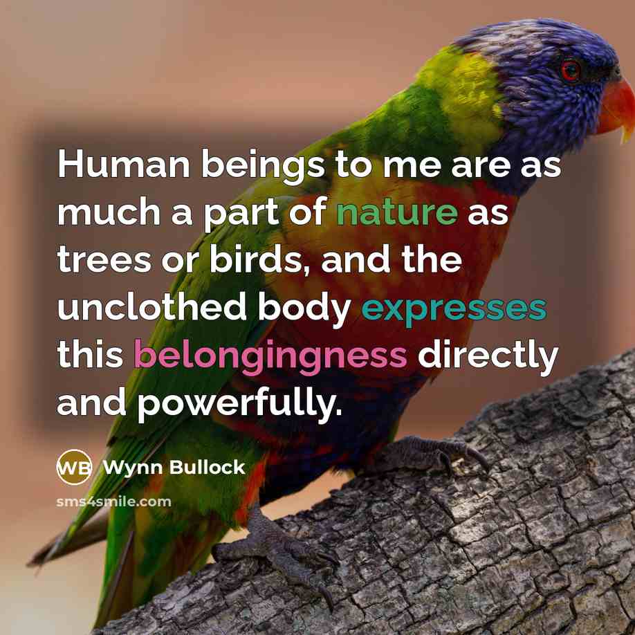 “Human beings to me are as much a part of…” quote by Wynn Bullock