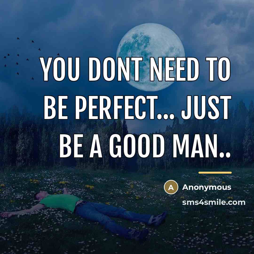 “You dont need to be perfect... just be a good…” quote by Anonymous