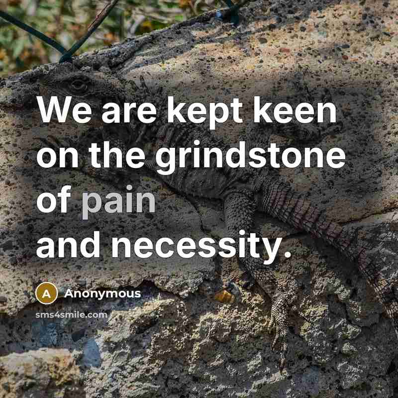 “We are kept keen on the grindstone of pain and…” quote by Anonymous