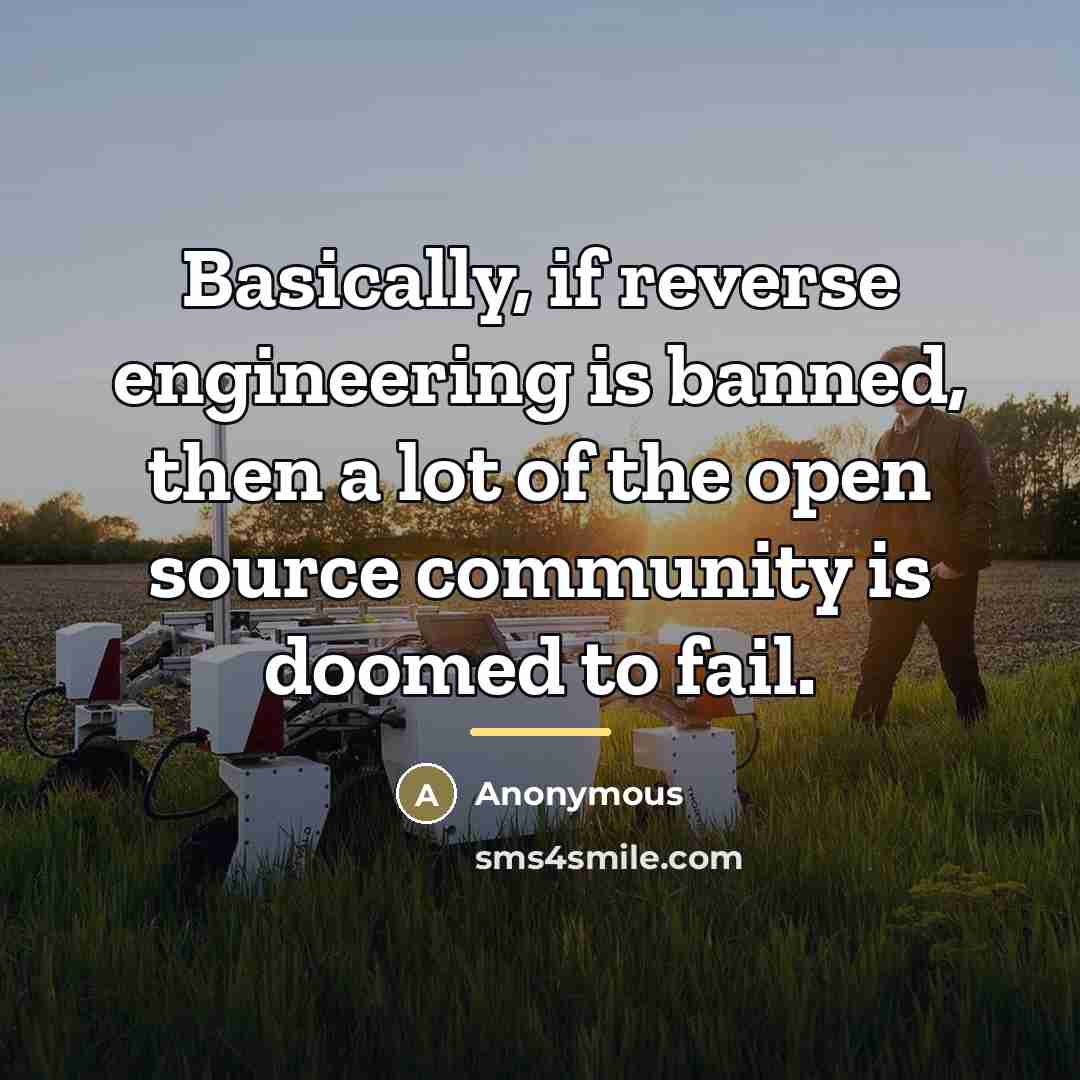 “Basically, if reverse engineering is banned, then a lot of…” quote by Anonymous