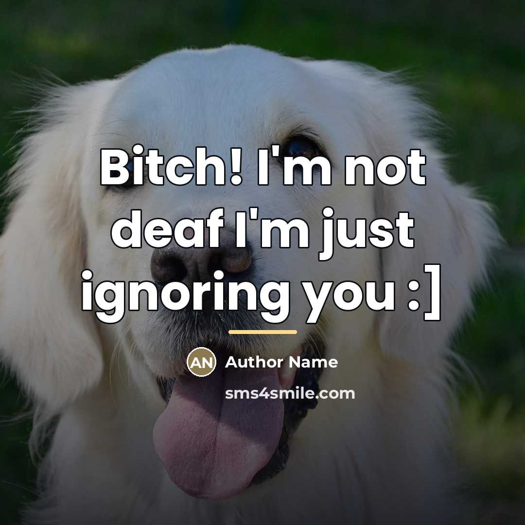 “Bitch! I'm not deaf I'm just ignoring you :]…” quote by Author Name
