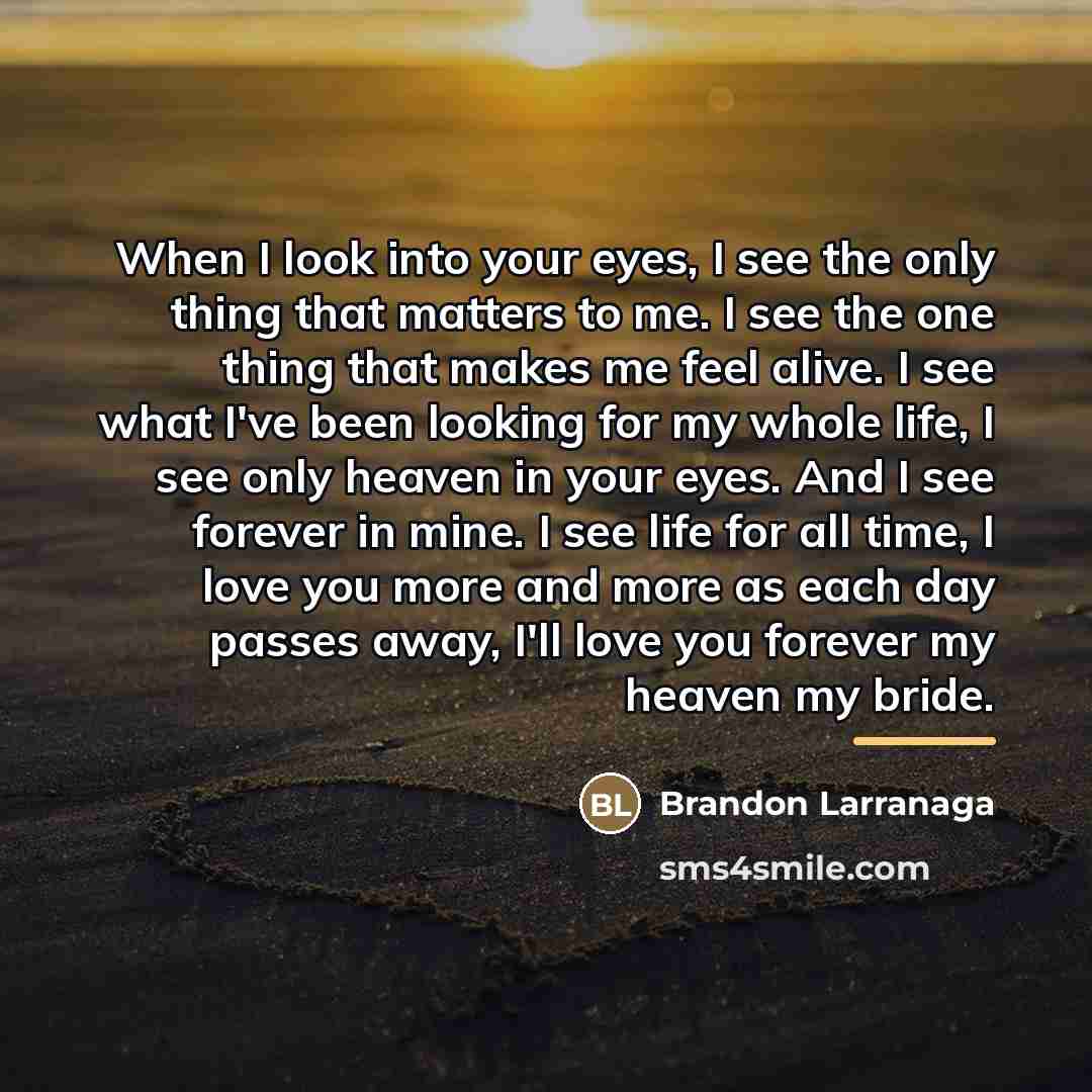 “When I look into your eyes, I see the only…” quote by Brandon Larranaga