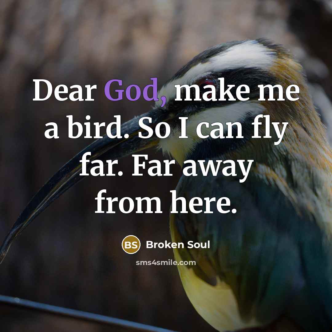 “Dear God, make me a bird. So I can fly…” quote by Broken Soul