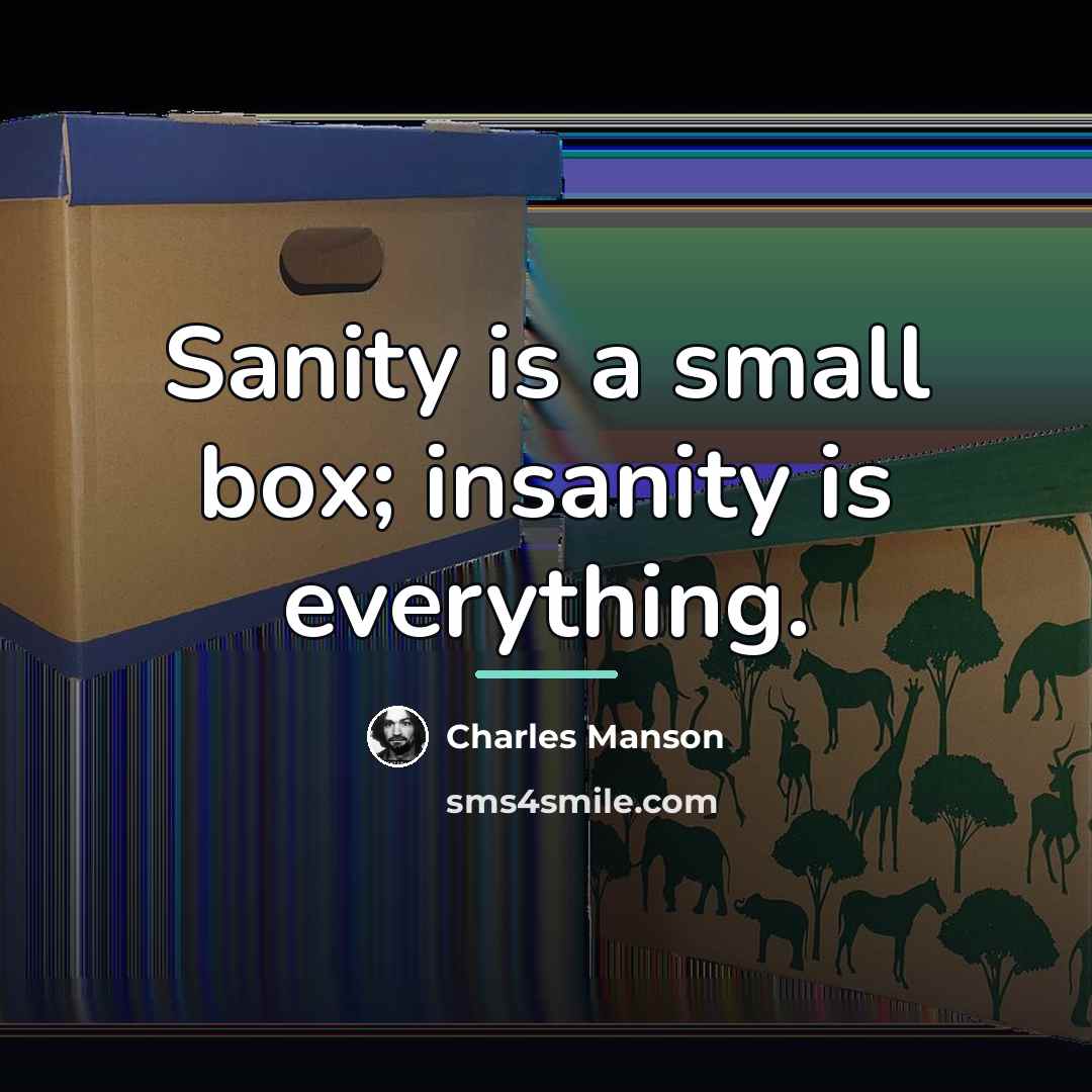 “Sanity is a small box; insanity is everything.…” quote by Charles Manson