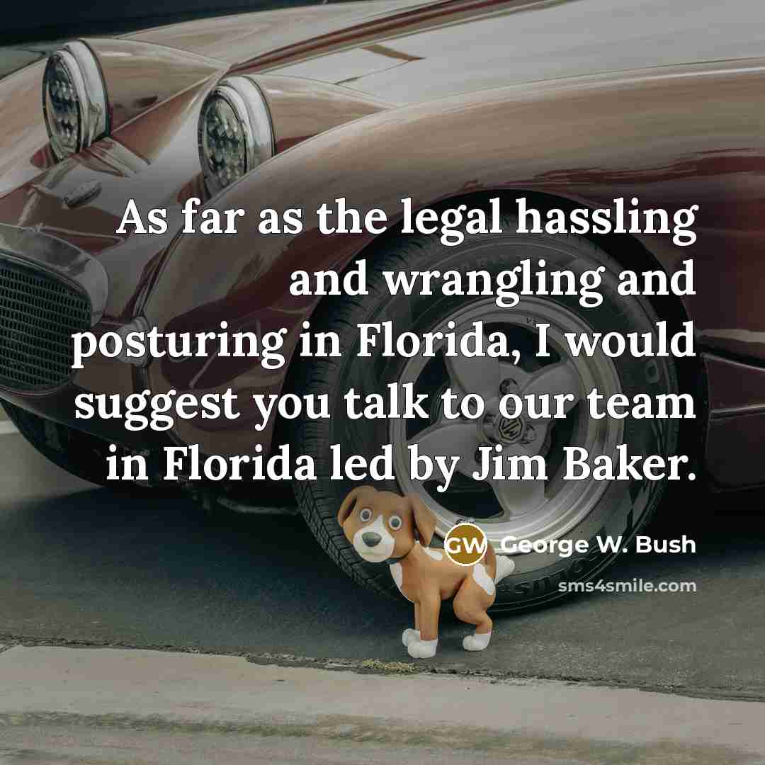 “As far as the legal hassling and wrangling and posturing…” quote by George W. Bush