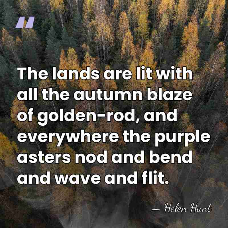 The lands are lit with all the autumn blaze of golden-rod, and&hellip; - Helen Hunt
