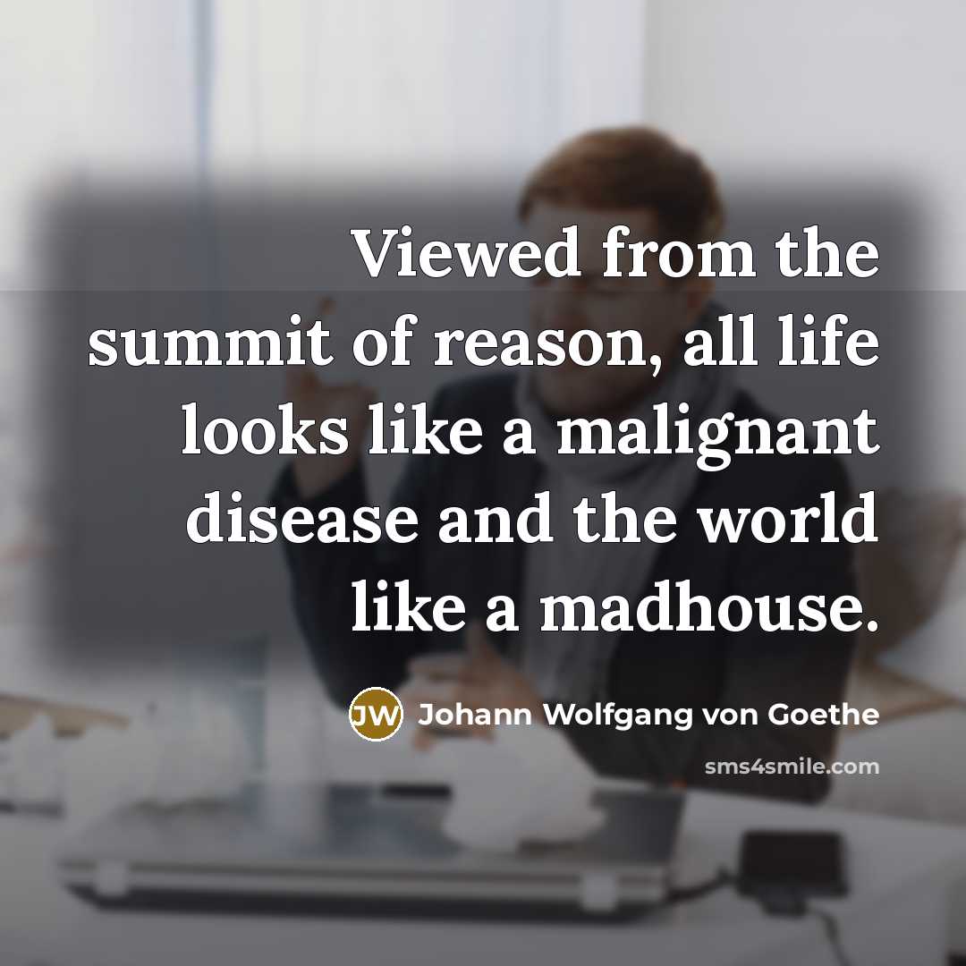 “Viewed from the summit of reason, all life looks like…” quote by Johann Wolfgang von Goethe
