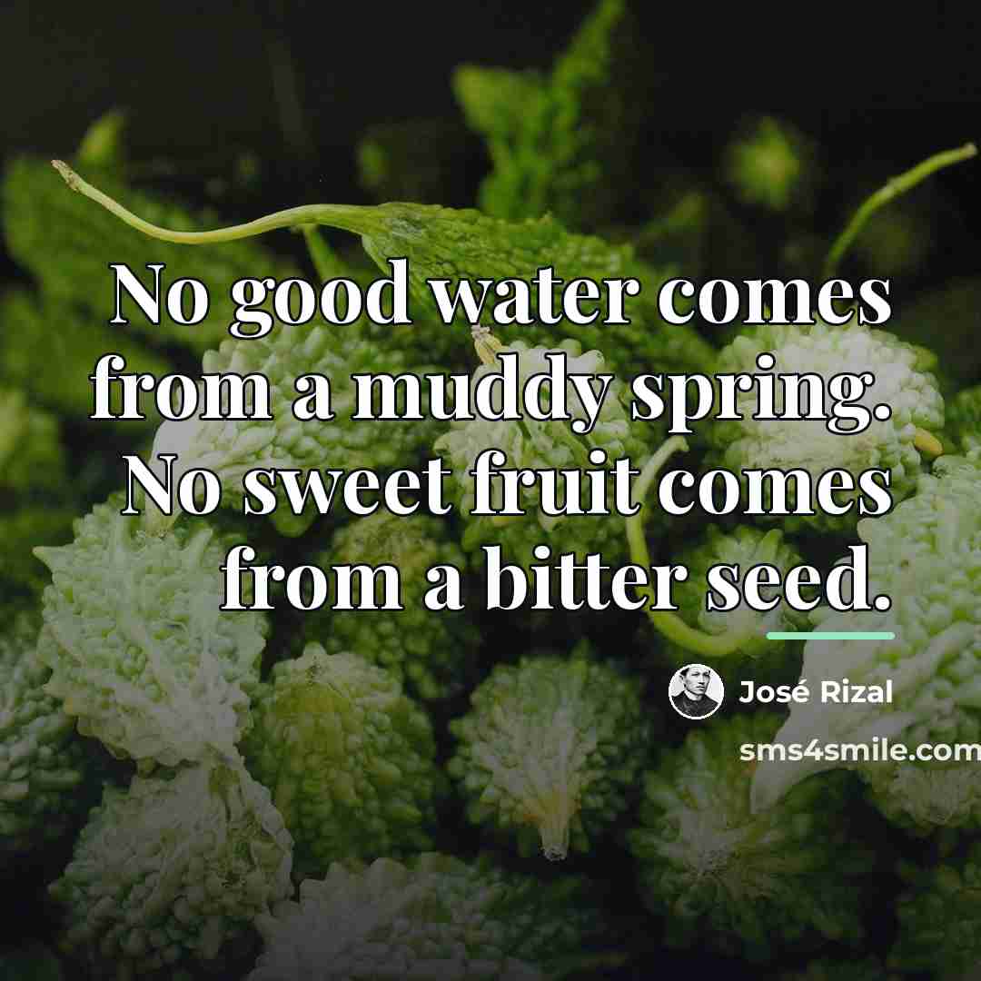 “No good water comes from a muddy spring. No sweet…” quote by Jose Rizal