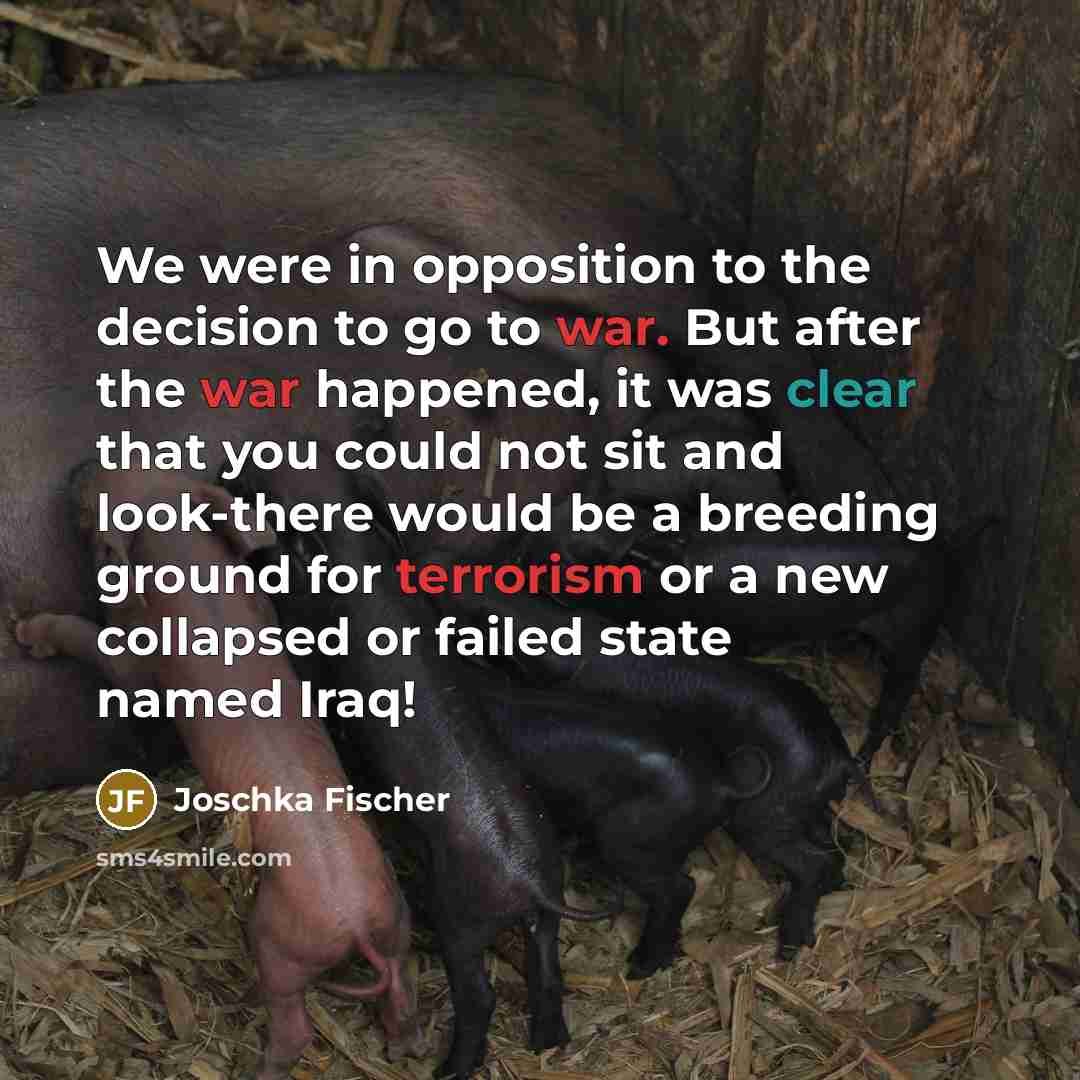 “We were in opposition to the decision to go to…” quote by Joschka Fischer