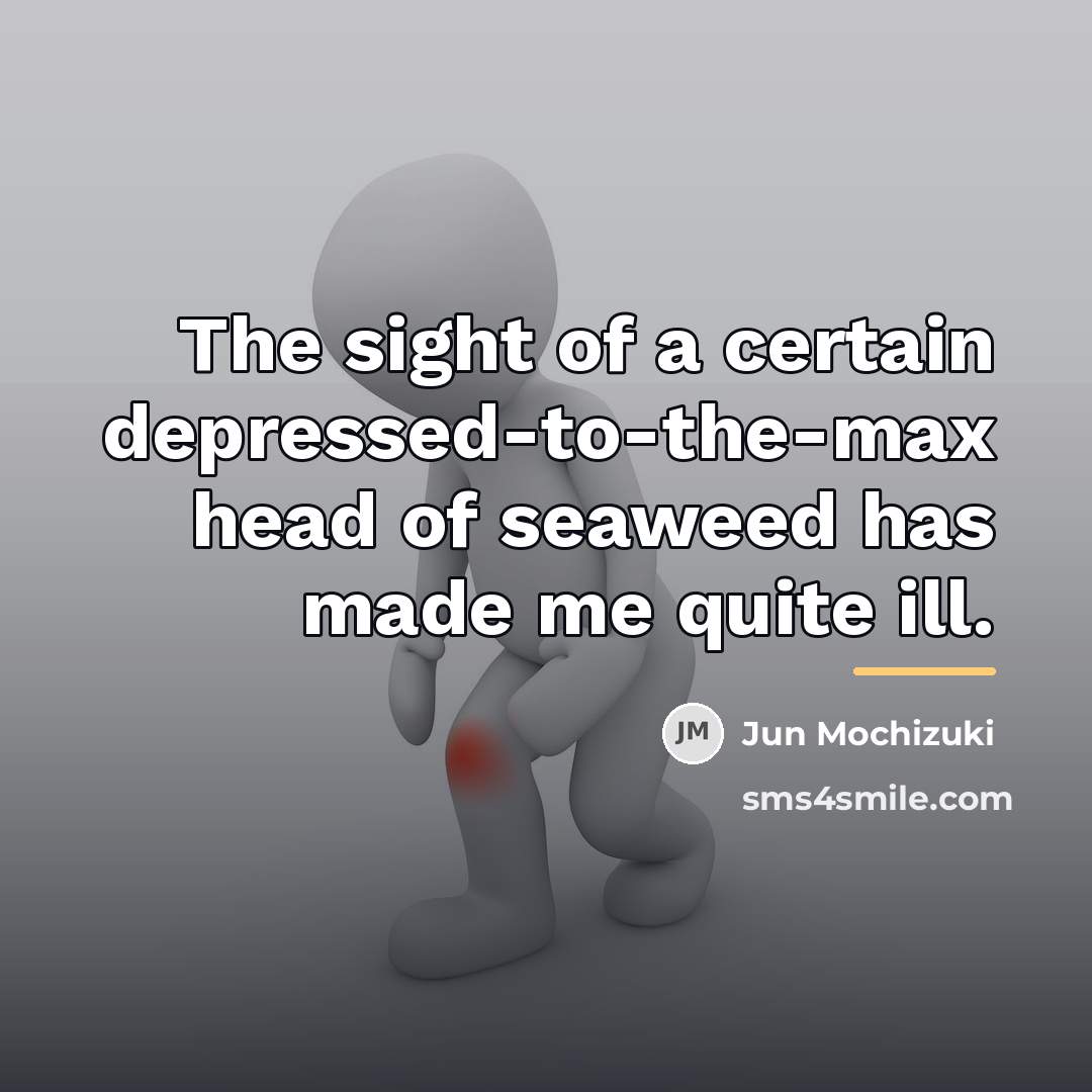 “The sight of a certain depressed-to-the-max head of seaweed has…” quote by Jun Mochizuki