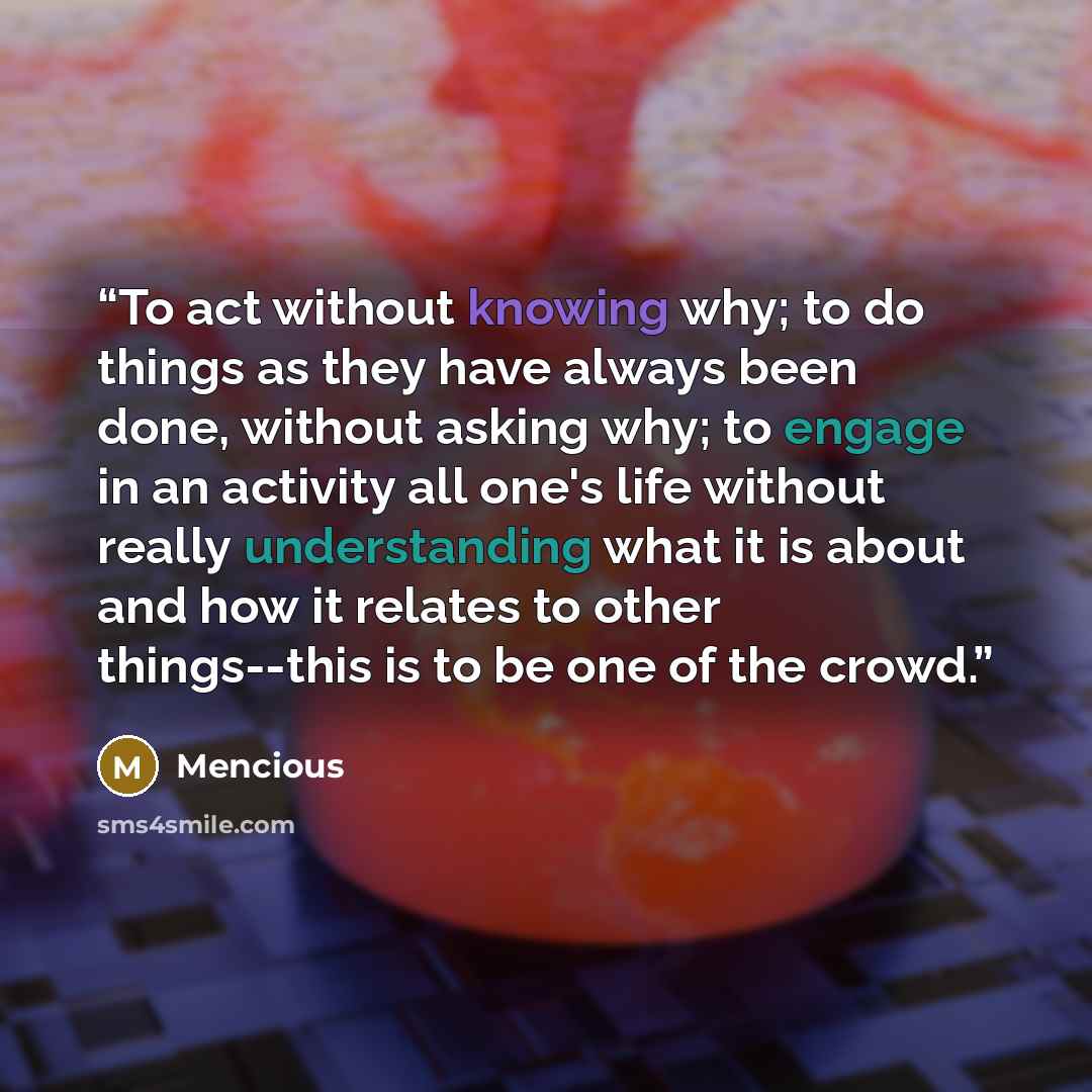 “To act without knowing why; to do things as they have always been done, without asking why; to engage in an activity all one's life without really understanding what it is about and how it relates to other things--this is to be one of the crowd.” quote by Mencious