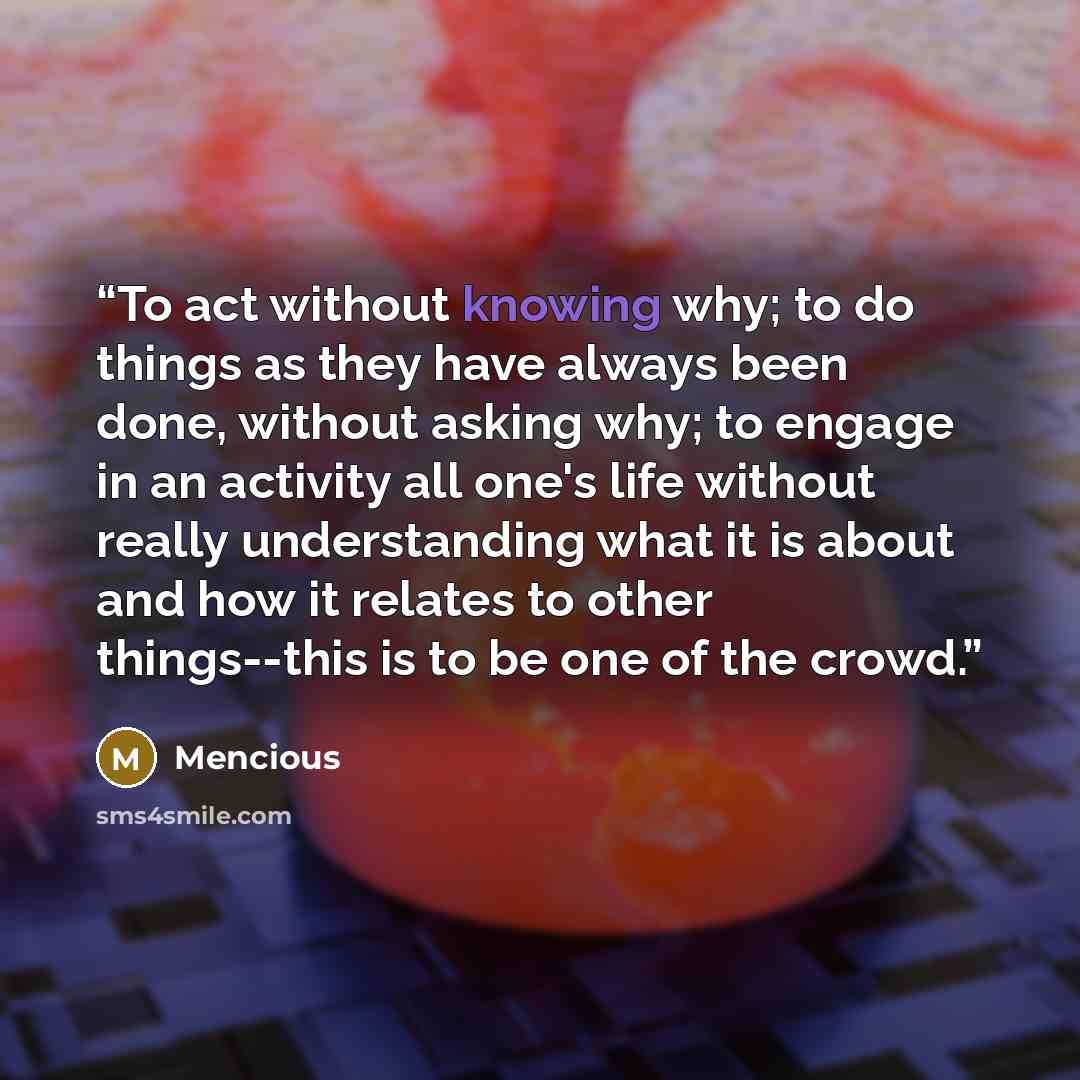 “To act without knowing why; to do things as they have always been done, without asking why; to engage in an activity all one's life without really understanding what it is about and how it relates to other things--this is to be one of the crowd.” quote by Mencious