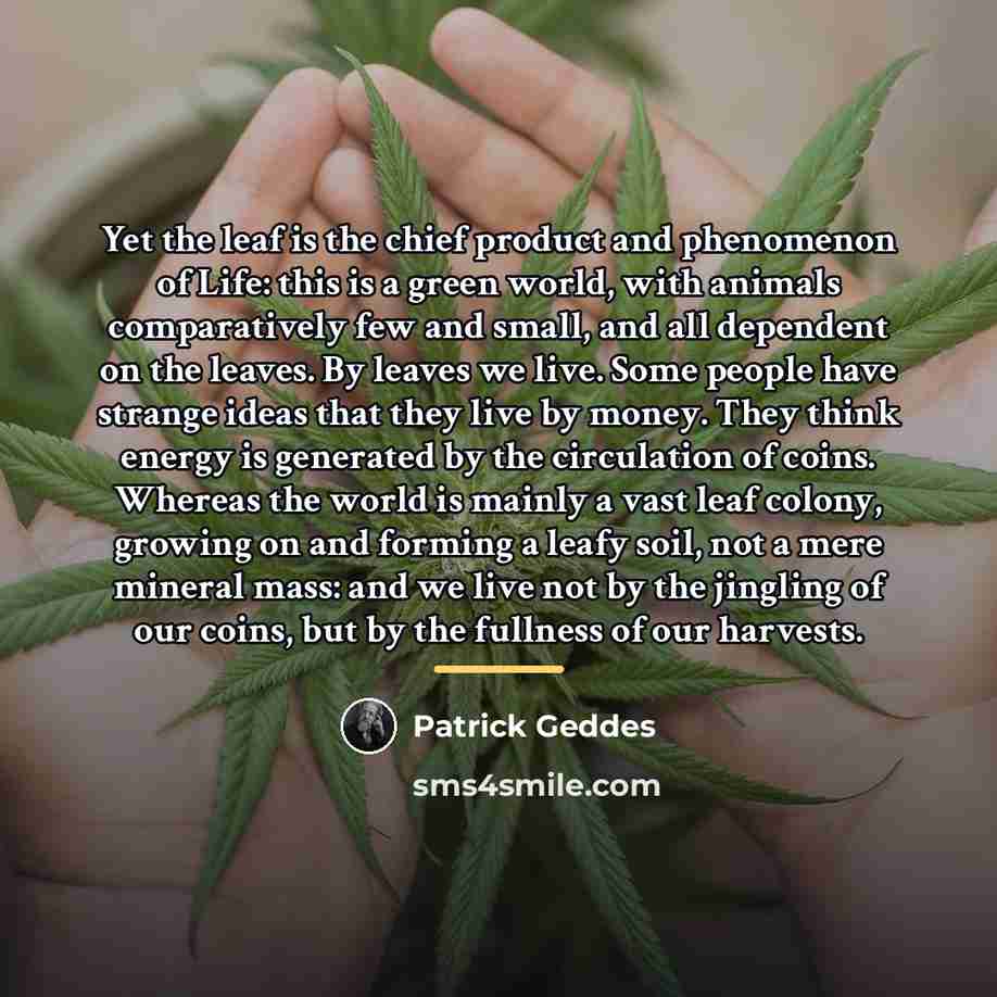 “Yet the leaf is the chief product and phenomenon of…” quote by Patrick Geddes