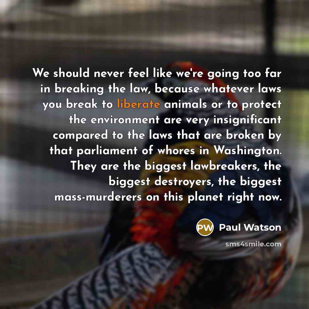 “We should never feel like we're going too far in…” quote by Paul Watson