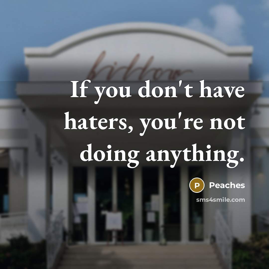 “If you don't have haters, you're not doing anything.…” quote by Peaches