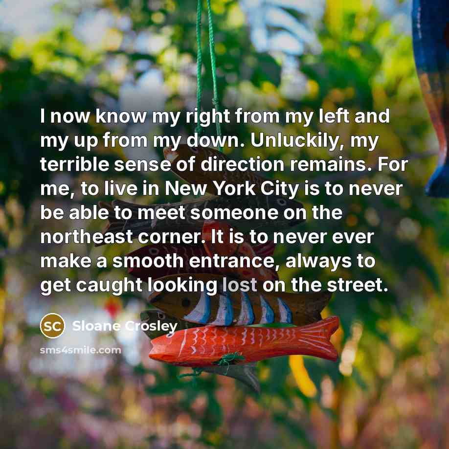“I now know my right from my left and my…” quote by Sloane Crosley