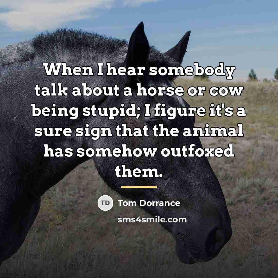 “When I hear somebody talk about a horse or cow…” quote by Tom Dorrance