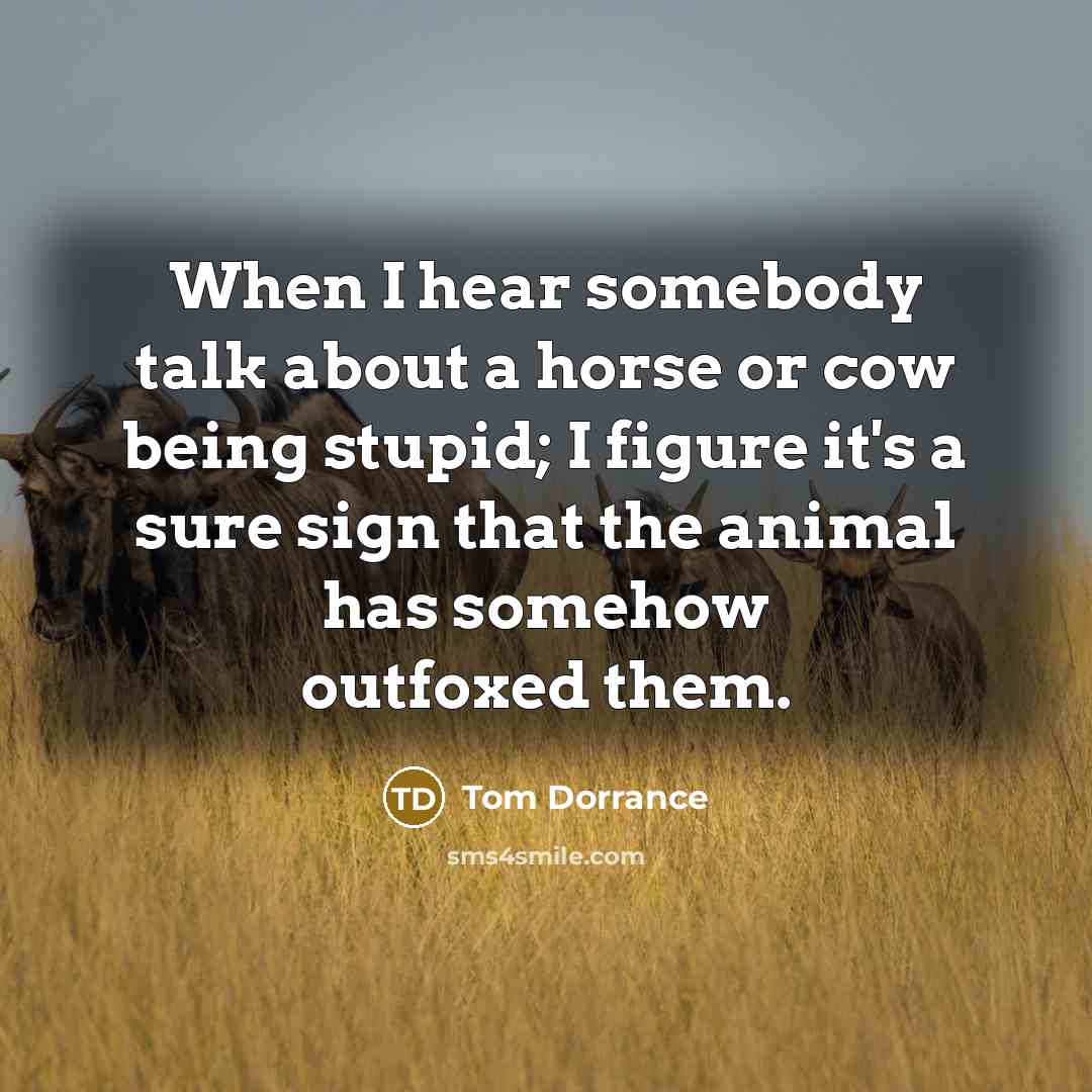 “When I hear somebody talk about a horse or cow being stupid; I figure it's a sure sign that the animal has somehow outfoxed them.” quote by Tom Dorrance