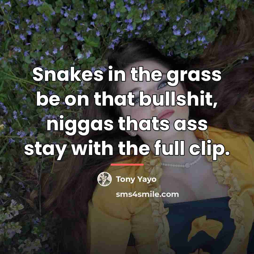 “Snakes in the grass be on that bullshit, niggas thats…” quote by Tony Yayo