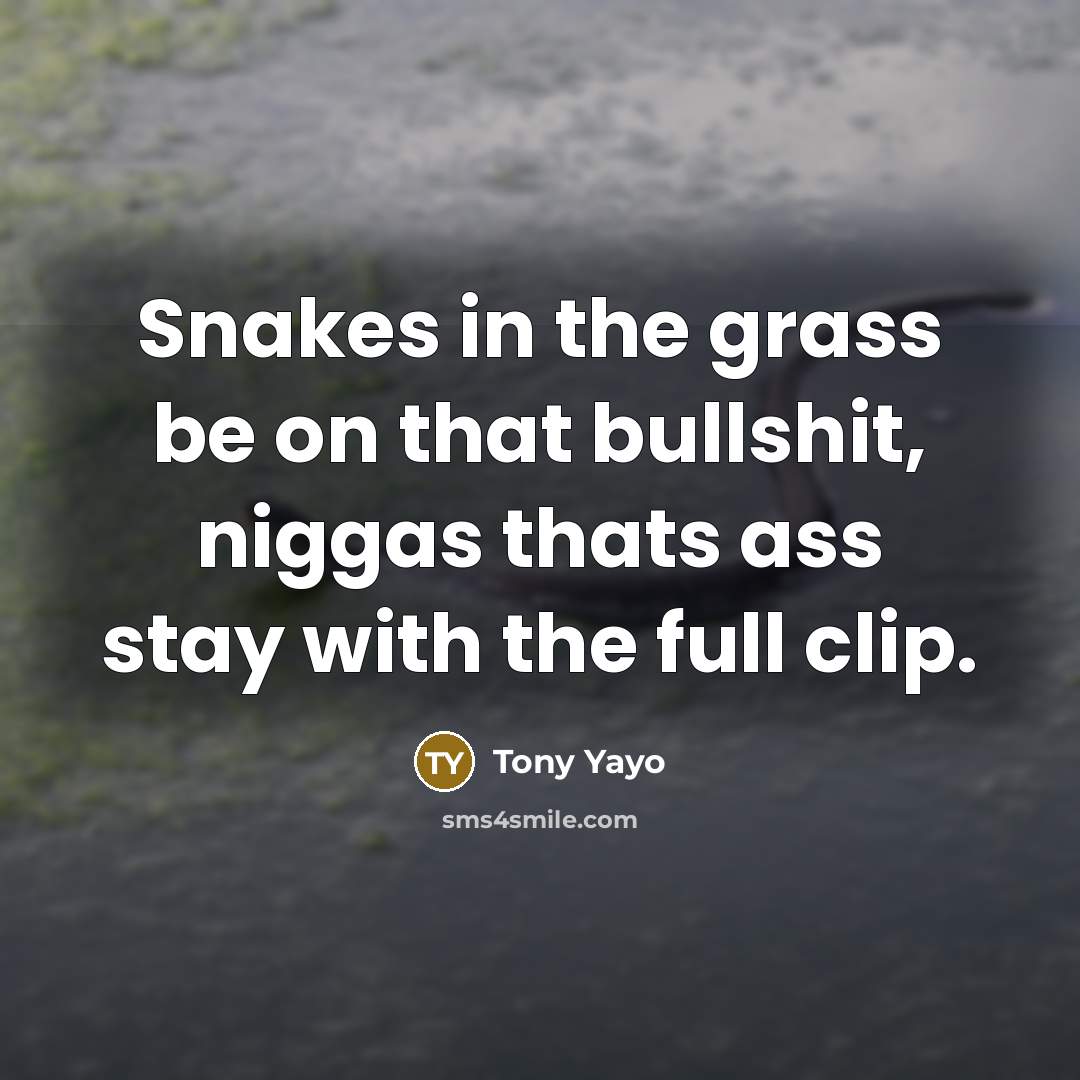 “Snakes in the grass be on that bullshit, niggas thats ass stay with the full clip.” quote by Tony Yayo