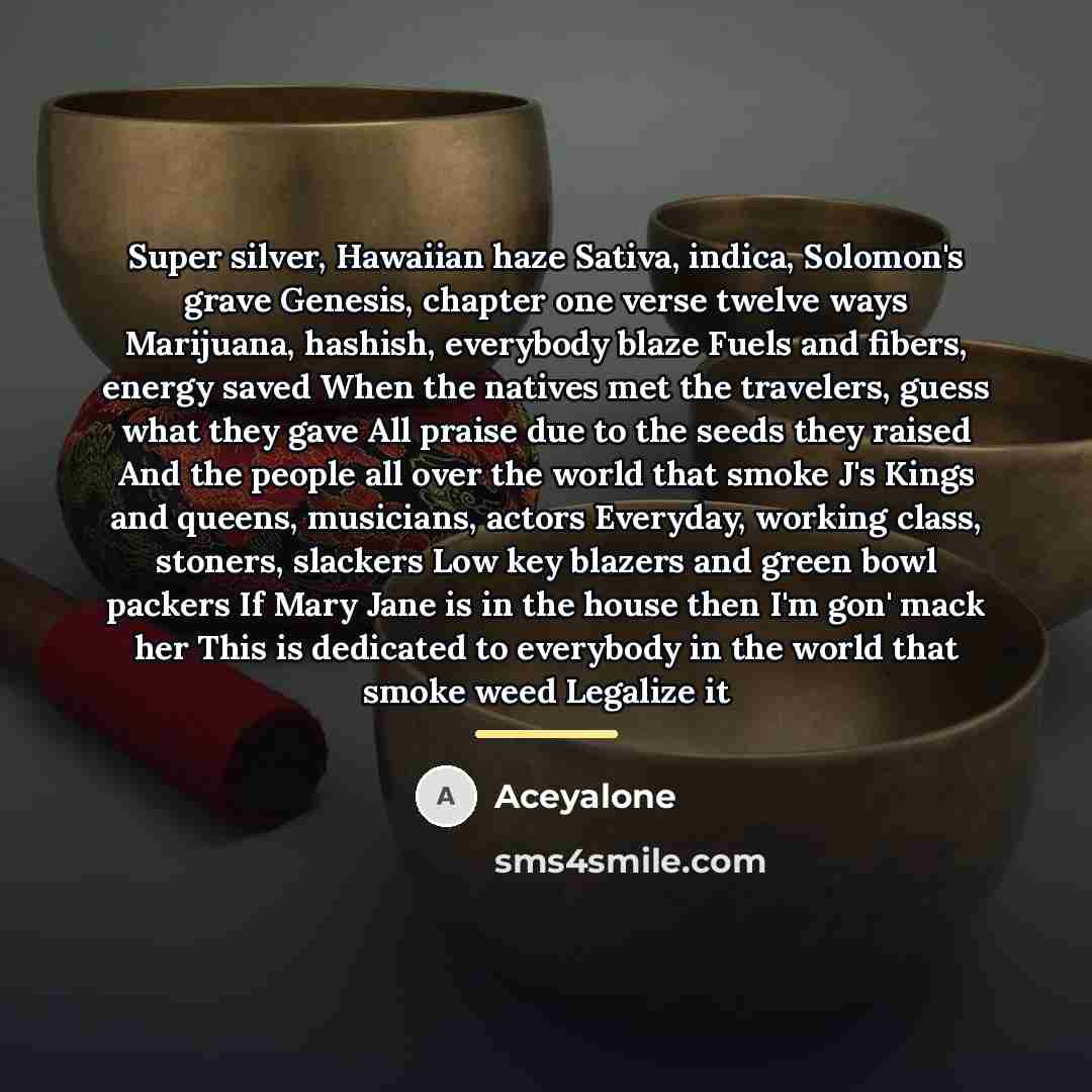 “Super silver, Hawaiian haze Sativa, indica, Solomon's grave Genesis, chapter…” quote by Aceyalone
