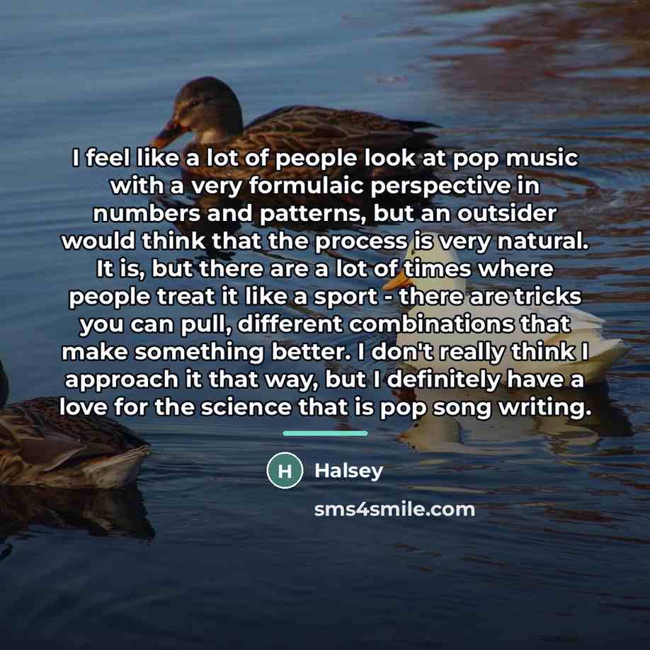 “I feel like a lot of people look at pop…” quote by Halsey