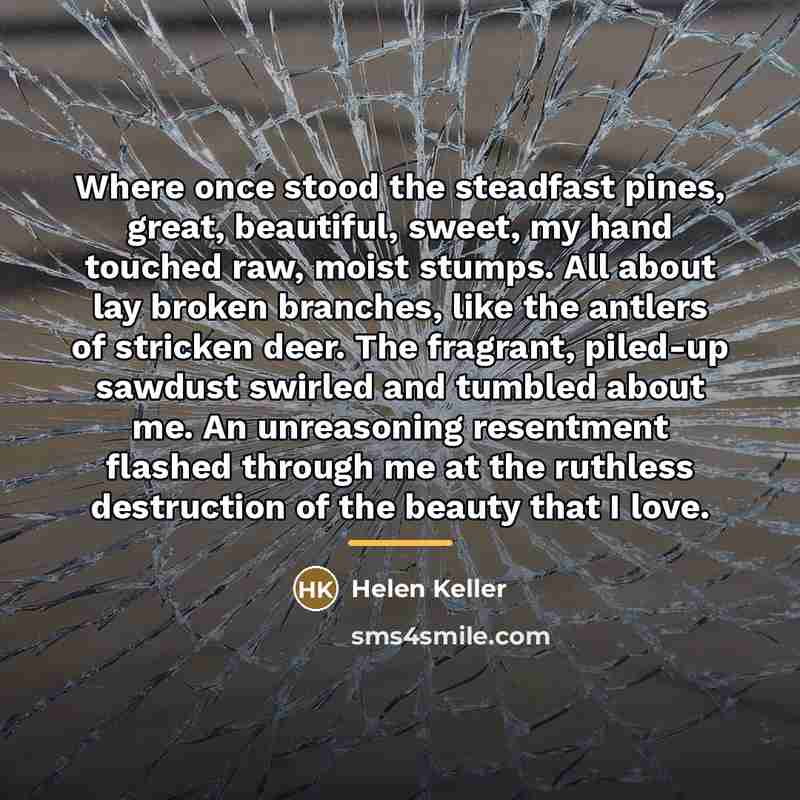 “Where once stood the steadfast pines, great, beautiful, sweet, my…” quote by Helen Keller